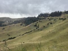 -新疆那拉提国家旅游度假区
