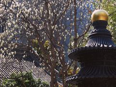 -罔极寺