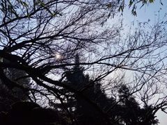 -南岳大庙