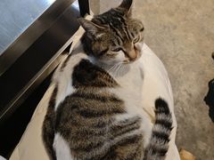 -铜瓢江湖兔火锅(水碾河社区店)