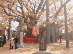 -浮来山风景区