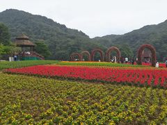 -广州市石门国家森林公园