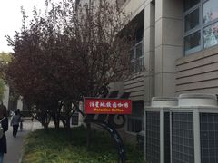 -泊星地咖啡馆(北京大学家园店)
