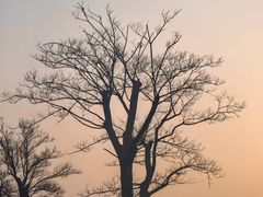 -滆湖低碳生态公园