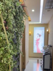 -芳朵美容养生SPA