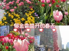 -观音桥步行街