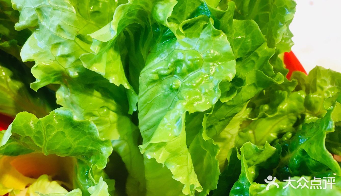 大众点评刷到好评如潮就赶紧和男朋友行动起来啦