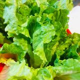 大众点评刷到好评如潮就赶紧和男朋友行动起来啦