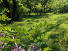 -国家植物园南园