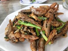 -品雅轩农家乐
