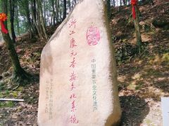 -中国庆元廊桥博物馆