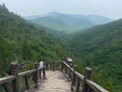 -皇藏峪国家森林公园