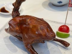 -侨美食家·40年地道粤菜(珠江新城店)