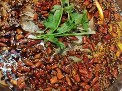 -味之绝热血美蛙鱼火锅(中坝店)