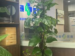 -肩颈管家·肩颈调理·经络养生(华景新城店)