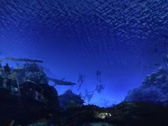 游乐设施-上海迪士尼度假区