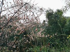 -成都杜甫草堂博物馆