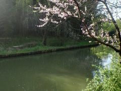 -同里国家湿地公园