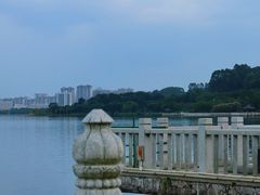 -荔湾湖公园