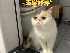 -爱侣宠医·鹦鹉专科·小型哺乳类·异宠专科(灵石路店)