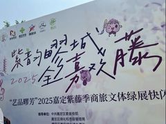 -嘉定紫藤园