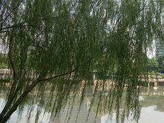 -怡海公园(桂城街道)