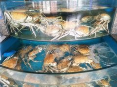 -悦海楼(三衢路店)