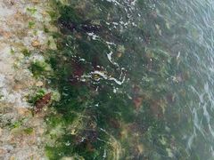 -泊石湾海滨浴场