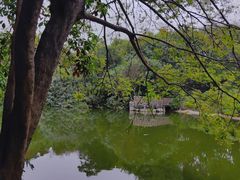 -深圳国际园林花卉博览园