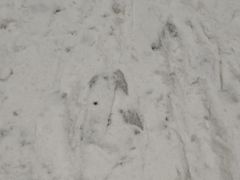 -绍兴启迪乔波冰雪世界