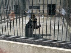 -保定市动物园