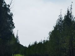 -龙洞风景区-藏龙涧