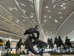 -青岛胶东国际机场