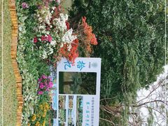 -中国科学院西双版纳热带植物园