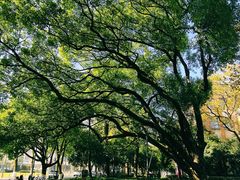 -浙江大学(玉泉校区)