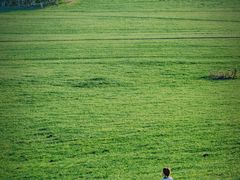 -莫日格勒旅游景区