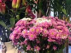iphone_upload_pic-春暖花开(西溪店)
