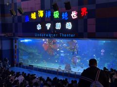 -泉城欧乐堡海洋极地世界