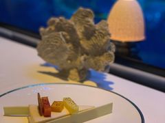 -迪拜帆船酒店海底餐厅