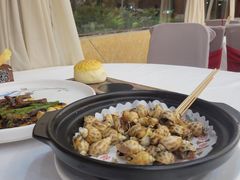 -丰尔粥食·顺德鱼生·干蒸排骨顺德菜(大良分店)
