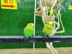 -荆州中山公园动物园