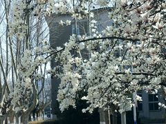 -大连理工大学(凌水校区)