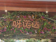 -呀诺达热带雨林