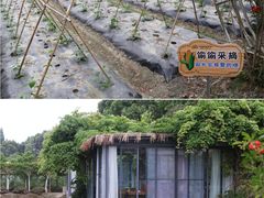 -洪湖家庭农场·团建·露营·会议
