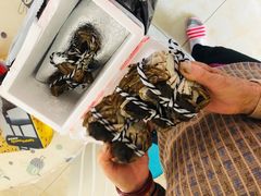 -七的湖·晚芳亭·阳澄湖农家菜·大闸蟹(莲花岛店)