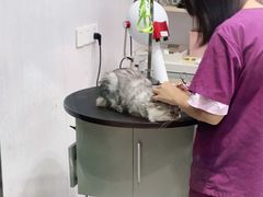 -宠颐生动物医院·小陆分院