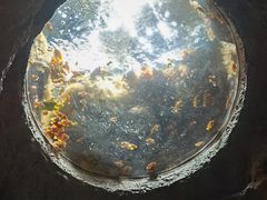 -珠海长隆海洋王国