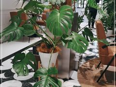 -一尺花园(安和花园店)