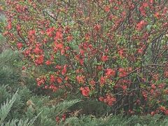 -森林公园(尖草坪区)