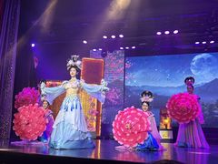 -金东尼人妖秀